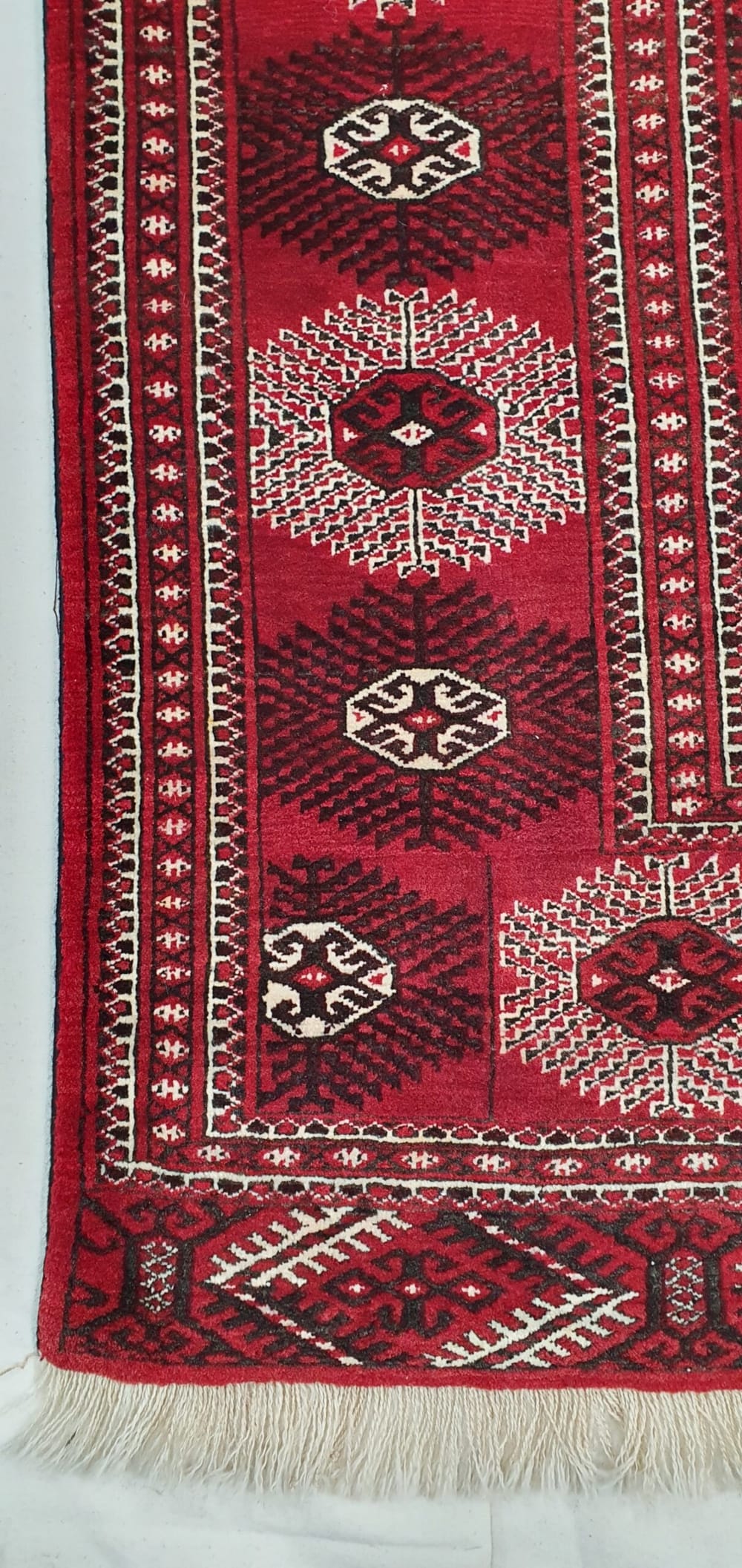 Rug# 4531 , Vintage Tekke clan Turkaman, mid 20th c, immaculate, size 334x233 cm (3)